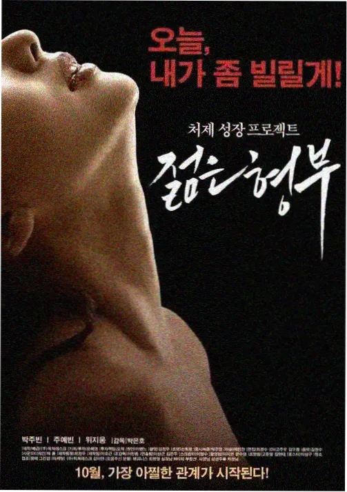 薄荷糖电影海报
