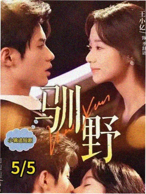 消失的爱人电影海报